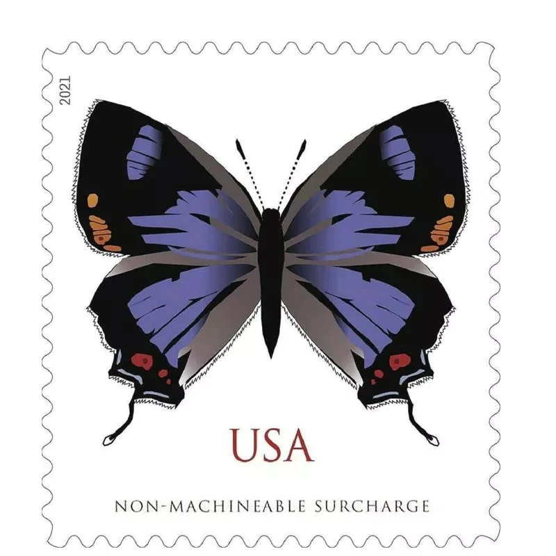 2021 Colorado Hairstreak Stamps 100pcs/Pack