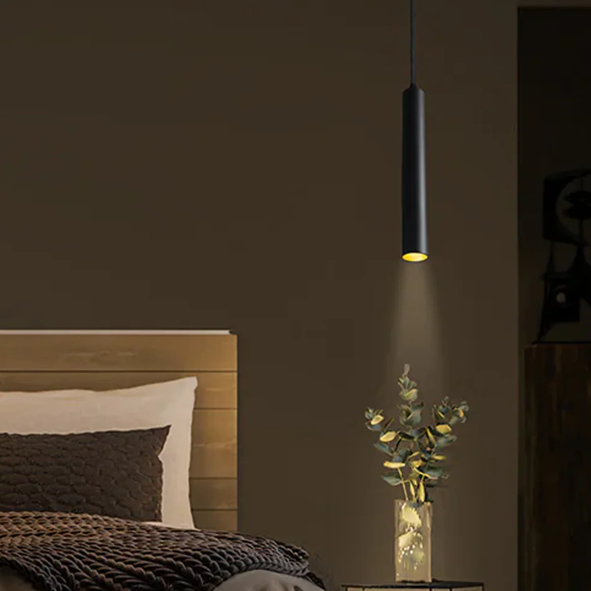 Philips Spot Pendant Light