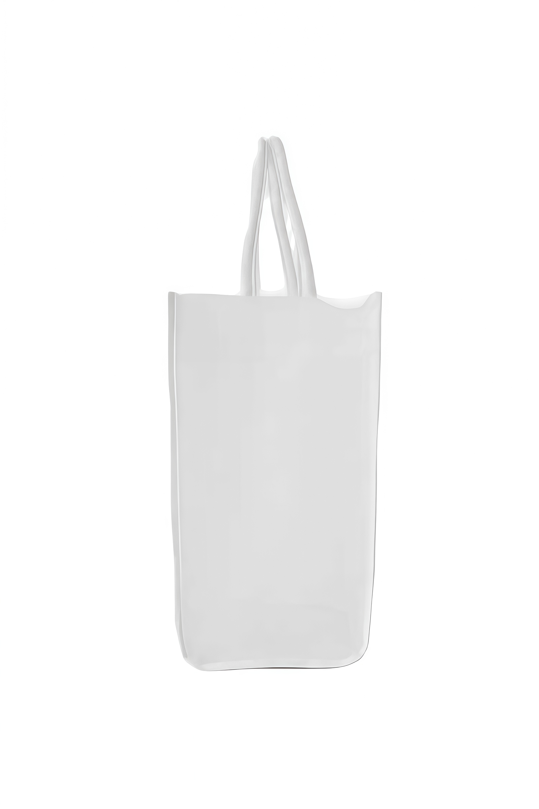 Sheer Tote Bag - Lulualo