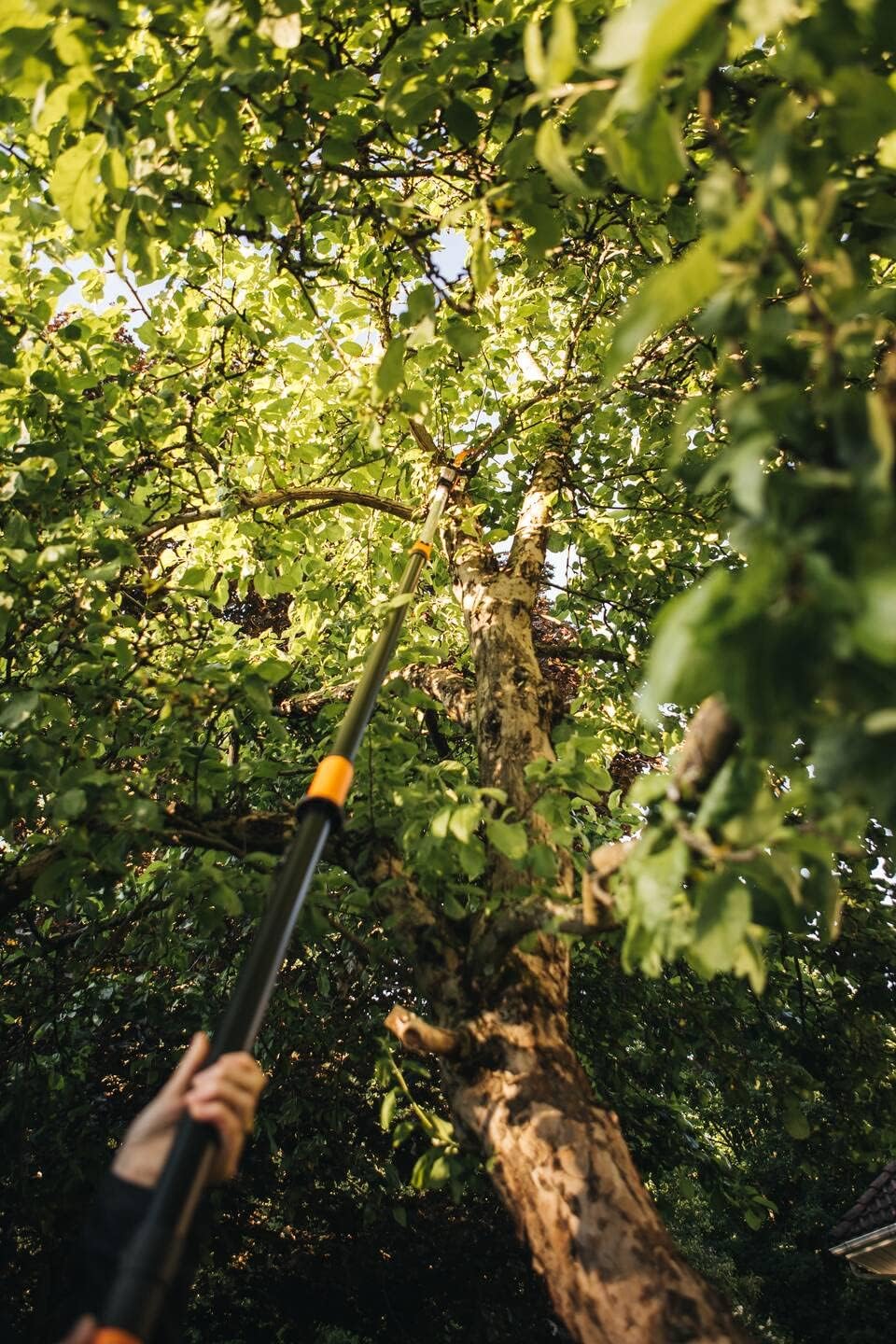 Fiskars Coupe-Branches Multifonctions Télescopique, pour Bois vert et Rameaux, Revêtement antiadhésif, Lame en acier/manche en aluminium, longueur 2,4 - 4 m, noir/orange, UPX86, 1023624