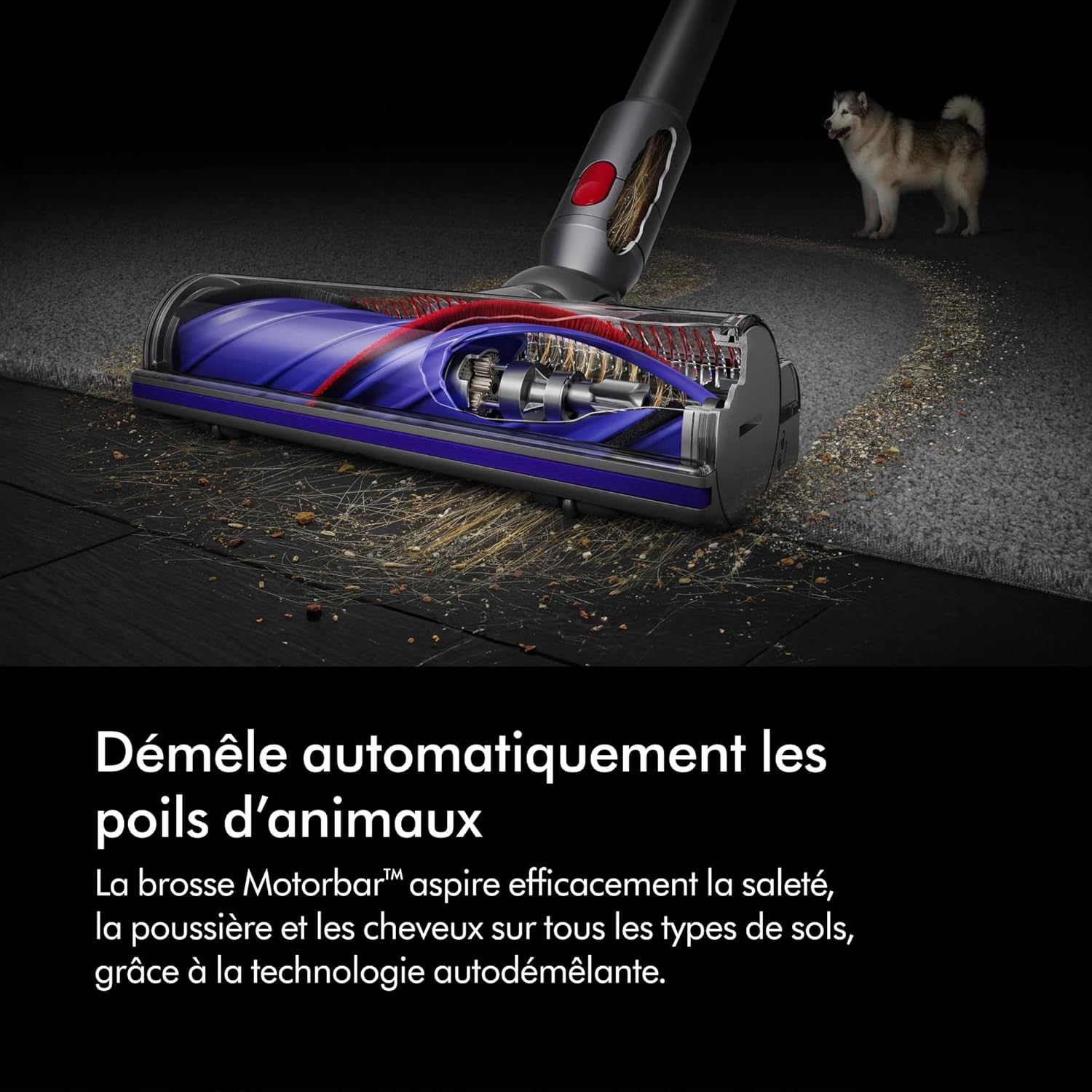 Dyson V8 Advanced™ Aspirateur Balai sans Fil – 130 AW, 40 Min d’autonomie, Brosse Motorbar Auto-démêlante, Accessoires combinés, Station Murale, Argent/Nickel