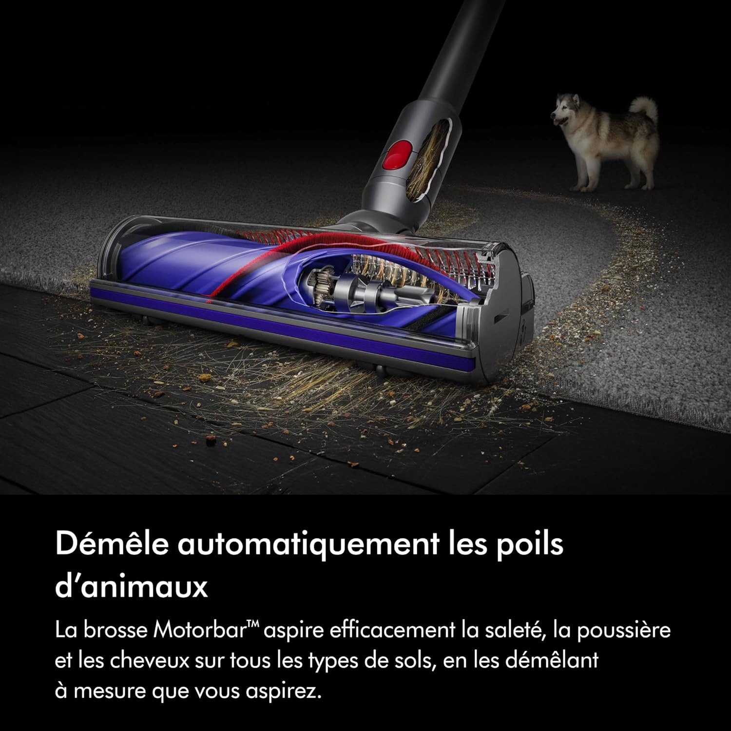 Dyson V8 Advanced™ Aspirateur Balai sans Fil – 130 AW, 40 Min d’autonomie, Brosse Motorbar Auto-démêlante, Accessoires combinés, Station Murale, Argent/Nickel