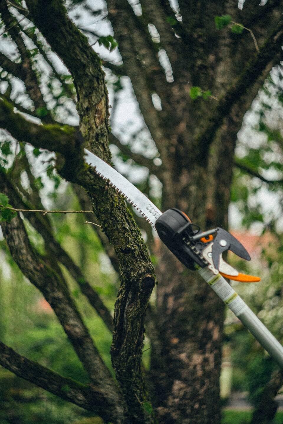 Fiskars Coupe-Branches Multifonctions Télescopique, pour Bois vert et Rameaux, Revêtement antiadhésif, Lame en acier/manche en aluminium, longueur 2,4 - 4 m, noir/orange, UPX86, 1023624