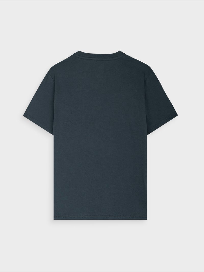Camiseta Estampada para Niño 15545