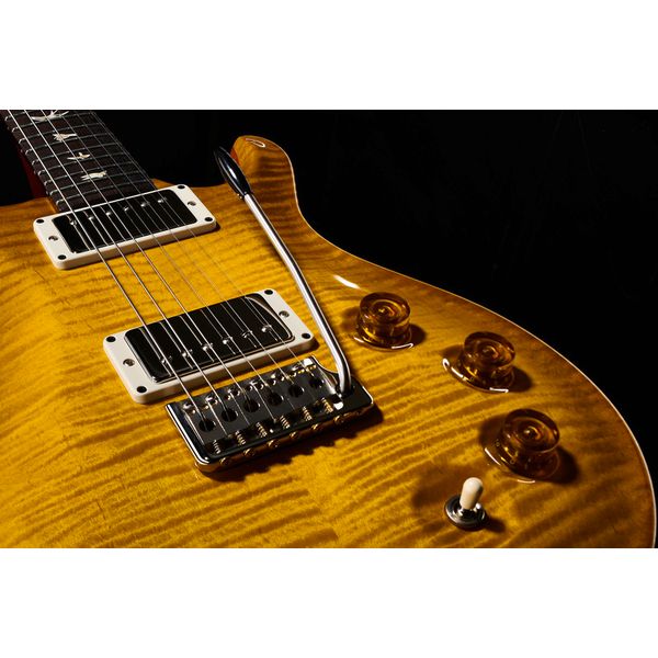 PRS DGT Birds MS