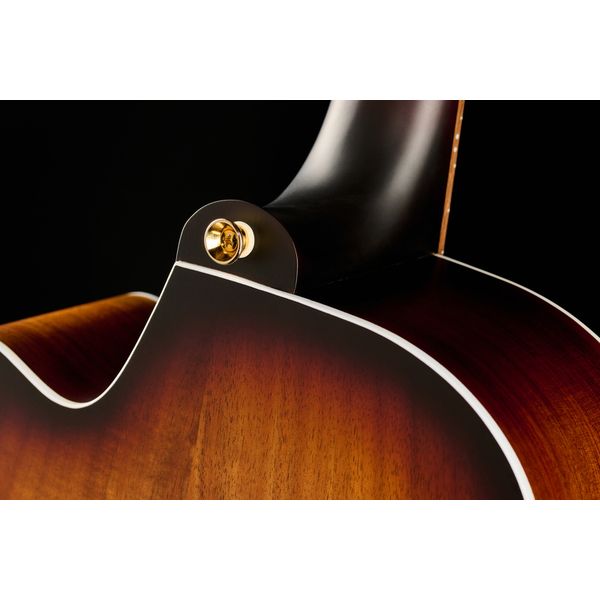 Cole Clark FL2EC-BLBL-SUN Fat Lady