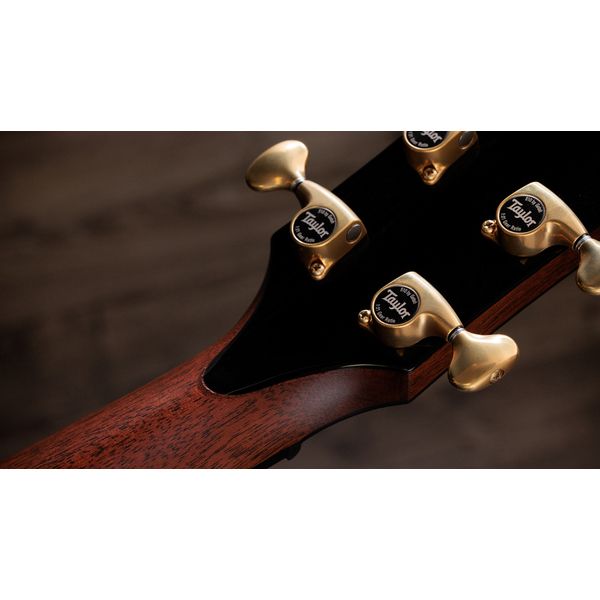 Taylor PS14ce Figured Urban Ironback