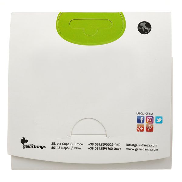 Galli Strings BG010 Chitarra Battente Str.