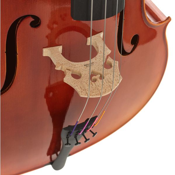 Gewa Maestro 1 Cello 3/4