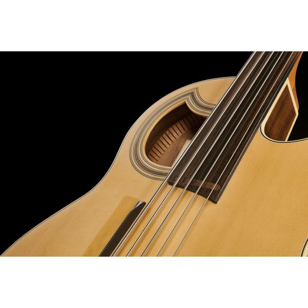 Warwick Alien Deluxe Hybrid 5 FL NT