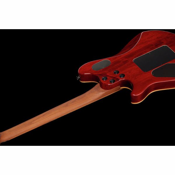 Evh Wolfgang WG Standard Xotic