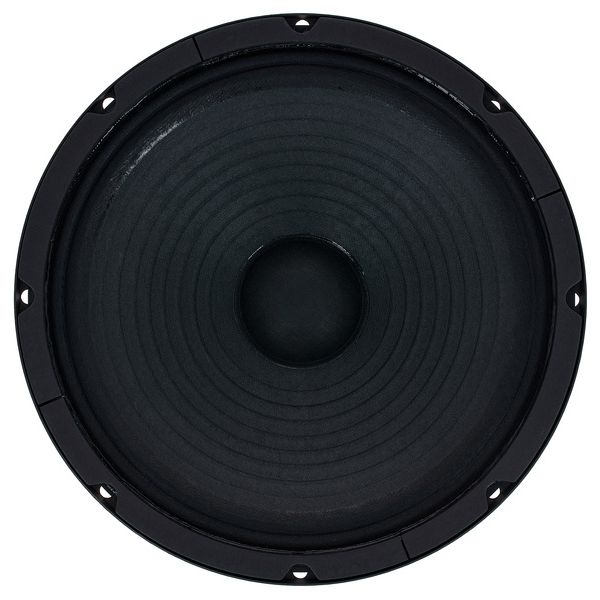 Jensen JS Blackbird 40 10" 8Ohm