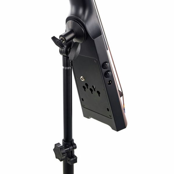 NS Design NXT5a-DB-SB Double Bass