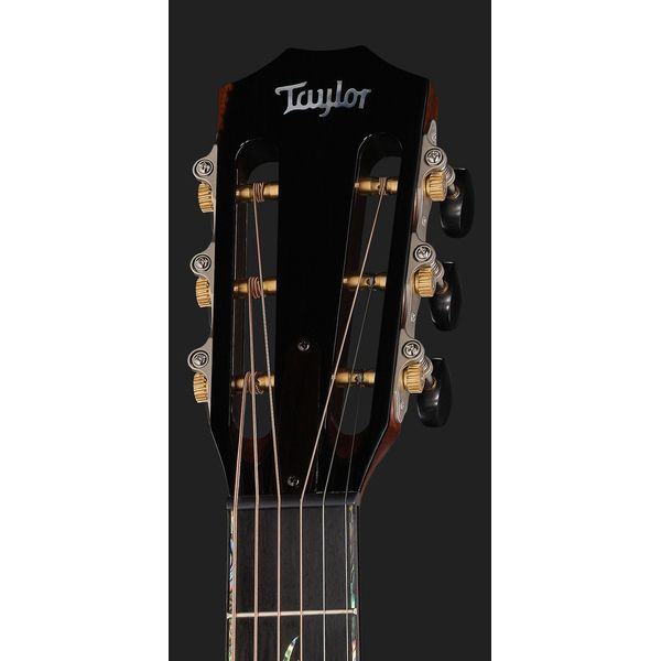 Taylor PS12ce 12 Fret Honduran RW