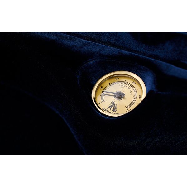 Artonus Quart Violin Case 4/4 SG