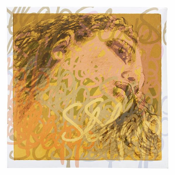 Pirastro Evah Pirazzi Slap G String Syn