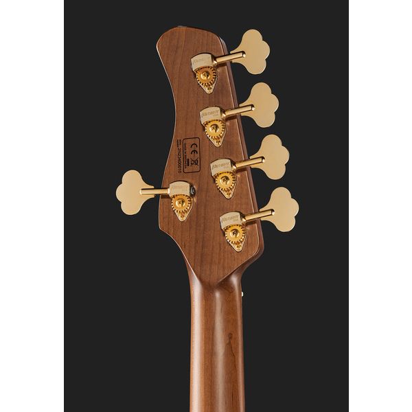 Marcus Miller V10DX-5 TS