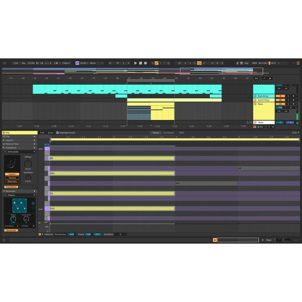 Ableton Live 12 Suite UPG Lite