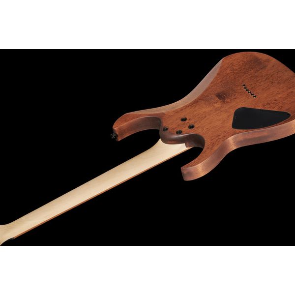 Ibanez RG421-MOL Bundle