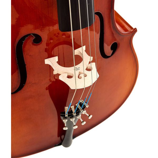 Roth & Junius Europe 4/4 Student Cello Set