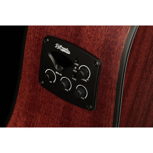 DAngelico Premier Fulton LS