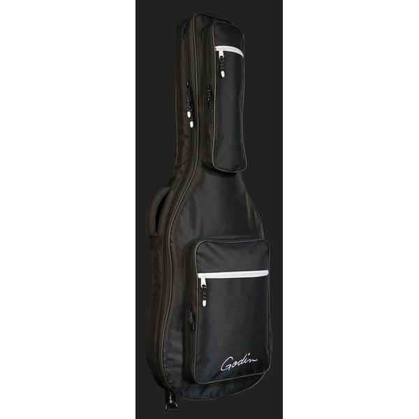 Godin XTSA Lightburst Flame