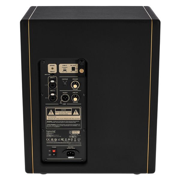 Positive Grid Spark CAB