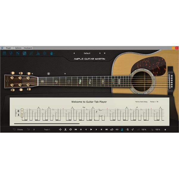 Ample Sound Ample Guitar M III