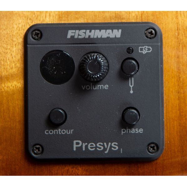 Breedlove Pursuit Exotic S Bass Amber CE