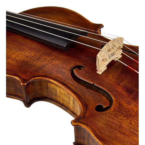 Stentor SR1864 Verona Violin 4/4
