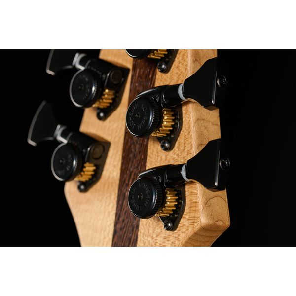 Mayones Guitars Duvell Elite 4Ever 6 PB