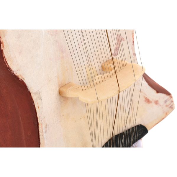 Thomann Nataraj Dilruba