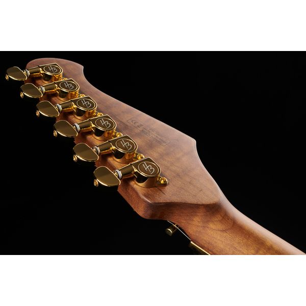 Harley Benton Guitar MAX Fusion Signature EF