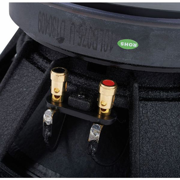 the box Speaker 10-250/8-A