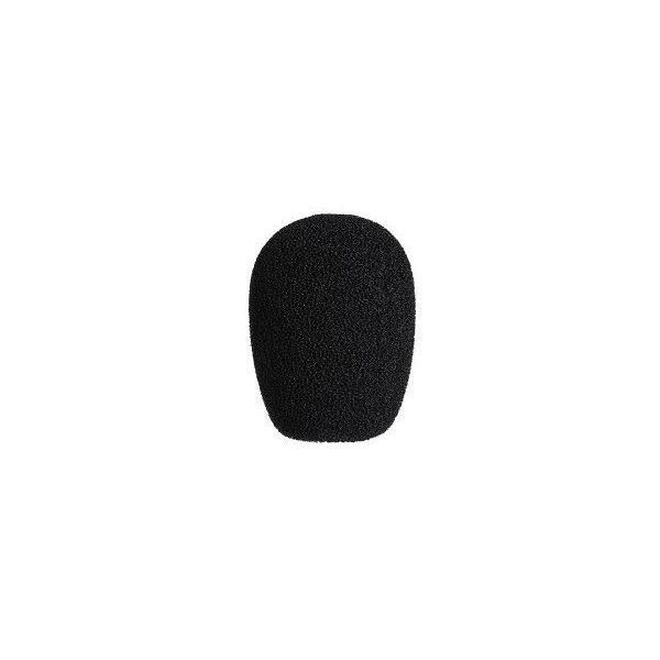 Audio-Technica BPHS2S