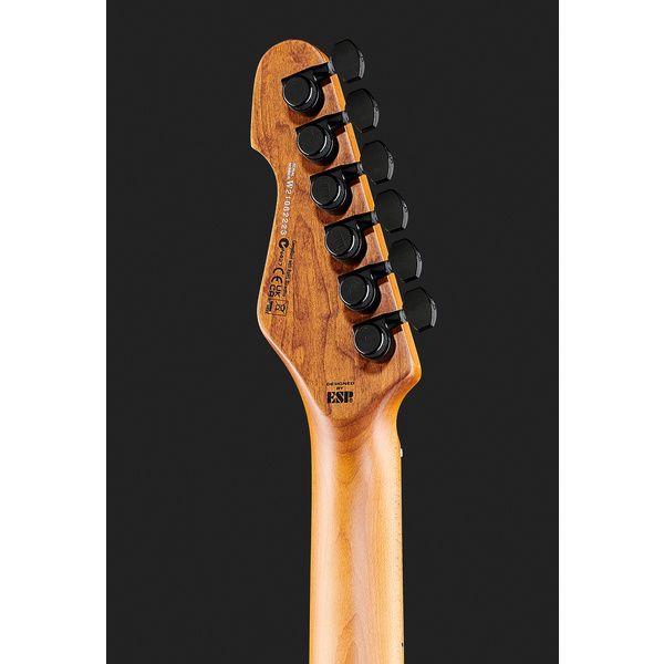 ESP LTD TE-1000 Black Blast