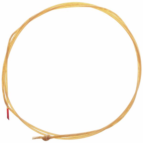 Pirastro Evah Pirazzi Slap D String Gut