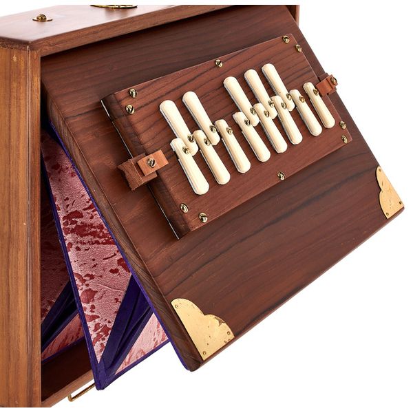 Thomann Nataraj Prof. Shruti Solid TW