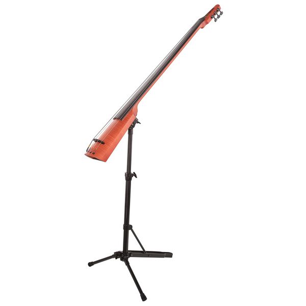 NS Design CR5 Upright Bass Amber