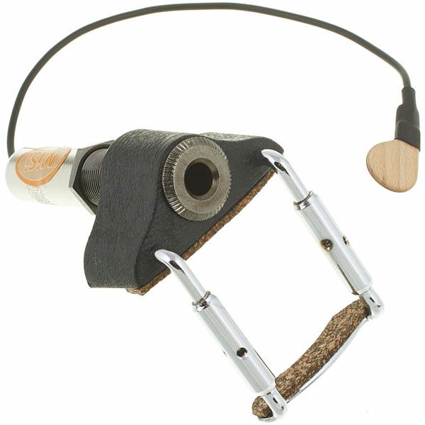 MI-SI Acoustic Trio/Vio