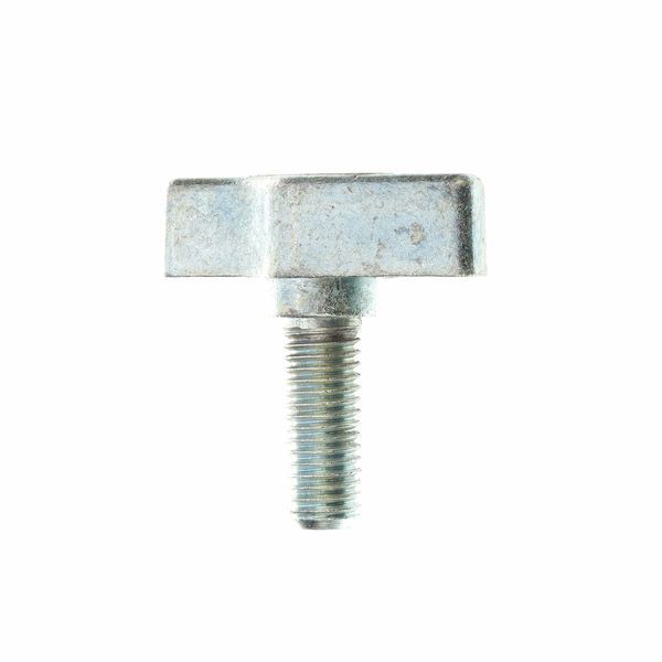 Doughty M10 Hand Screw SI M10x25