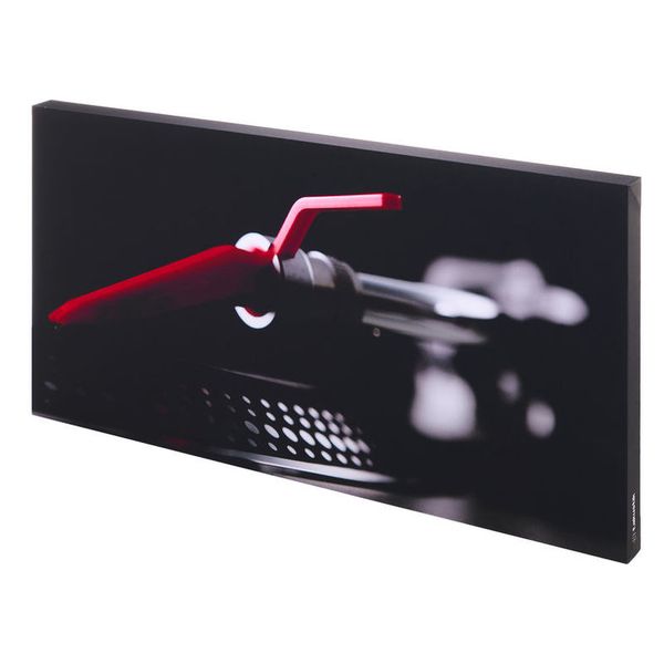 t.akustik Print Panel The Needle