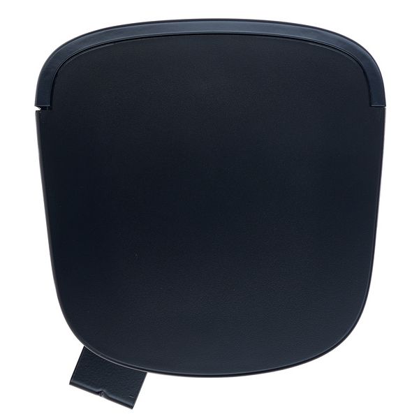 Bose Professional DesignMax DM6SE black