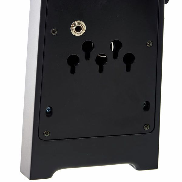 NS Design NXT5a-DB-SB Double Bass