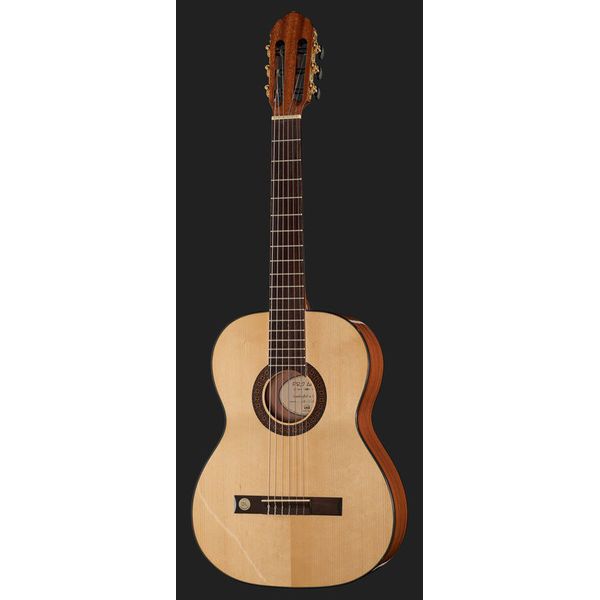 Gewa Pro Arte GC100A w/Bag