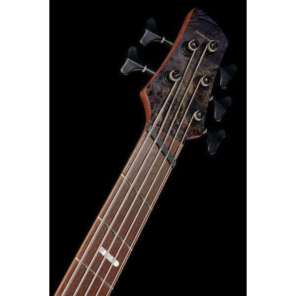 Ibanez SRMS805-DTW Workshop