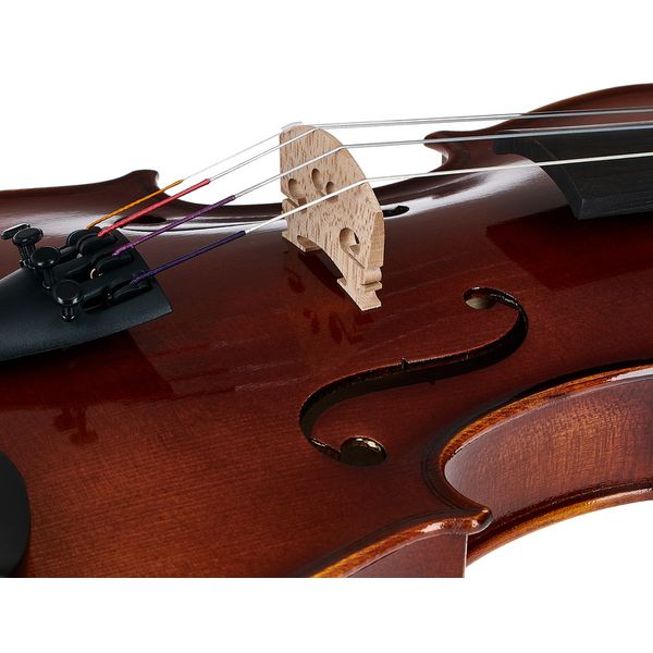 Gewa Allegro Violin 4/4 SC LH CB