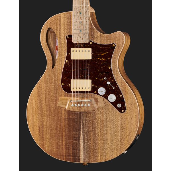 Cole Clark TL2EC-BLBL-HH Thin Line