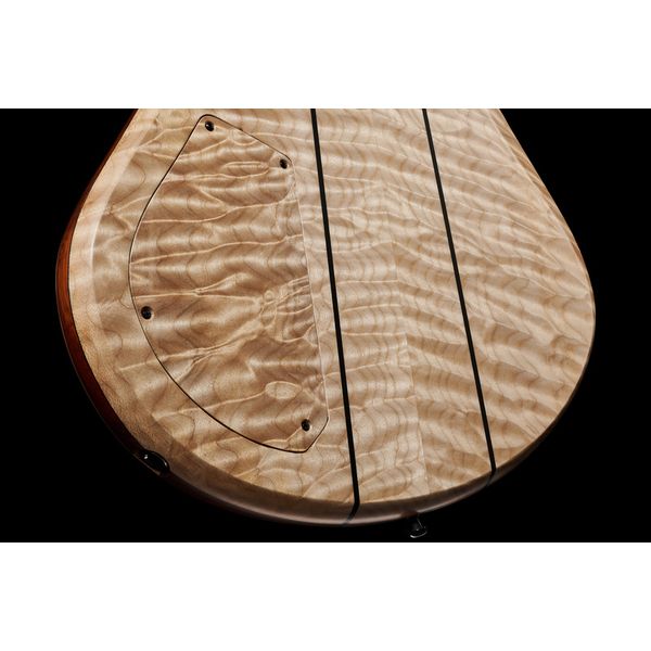 Torillo Volta 5 Quilted Maple