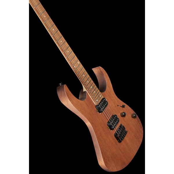 Ibanez RG421-MOL Bundle